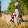🐎محبين الخيل 🐎