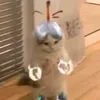 cutlonbo