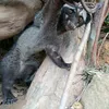doan.giang3132