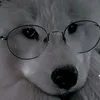 maria_lu.7