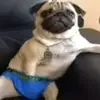 laymieeeeee