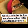 umar.diirree