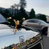 inter.cars_