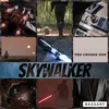 skywalker.0004