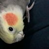 sadie_1899
