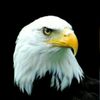 yossef.tarek524