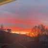 makayla.freeman64
