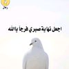 user63771167929088
