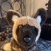 webkinzfanganz