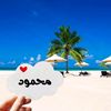 mahmoud.farag6224