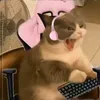 amfibiya97