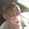 тгк: домекана