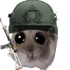 unknownf4rdousa