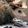 poisonedtlacuache