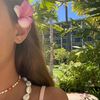 li_na6195