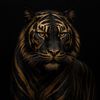 mujeeb.hamed