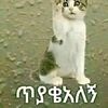 amaamm715