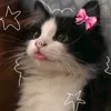 sweet_sugar1000