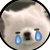 roiemnho.24.7