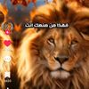 user6600866158241