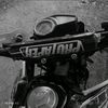 victorrodrigue3742
