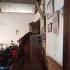 anjani_.23