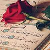 user2786070440315