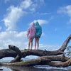 siennasteele67
