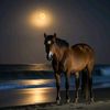 arwa.abdelsalam8