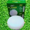allhairledbulb