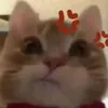 qunh.mea_