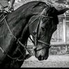andressilvan5