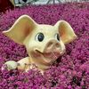 pinkypigster