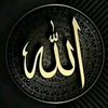 user3271767695340