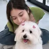 kaoʼs wife^᪲᪲᪲