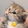 lezpqogzm18