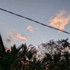 acin_213
