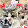 lop_072027alll0