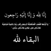 sara_s_ahmad