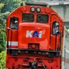 king.star9953
