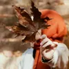 f_46r