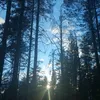 vukaafk