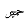 tf3.j