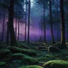 visions.of.solitude