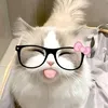 janetlover_0