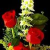 mdnasiruddin6358