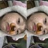 dindun977