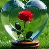 user49800117050385