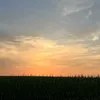m.a_802