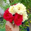 most.jannati.akthe